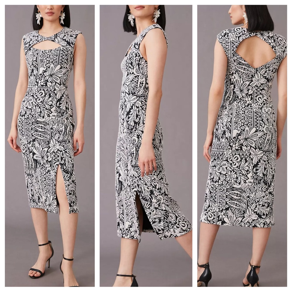 Anthropologie Black and White Floral Midi Dress